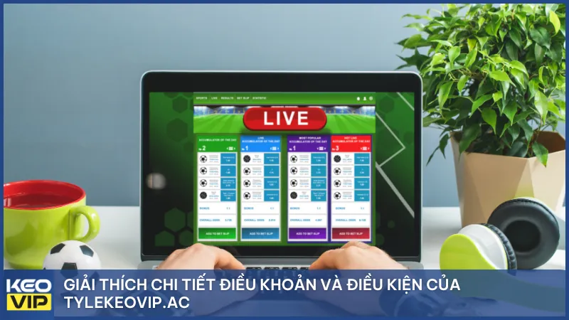 Thông tin rõ ràng – Điều khoản minh bạch giúp người chơi yên tâm tra cứu tỷ lệ kèo trực tuyến tại KEOVIP ASIA